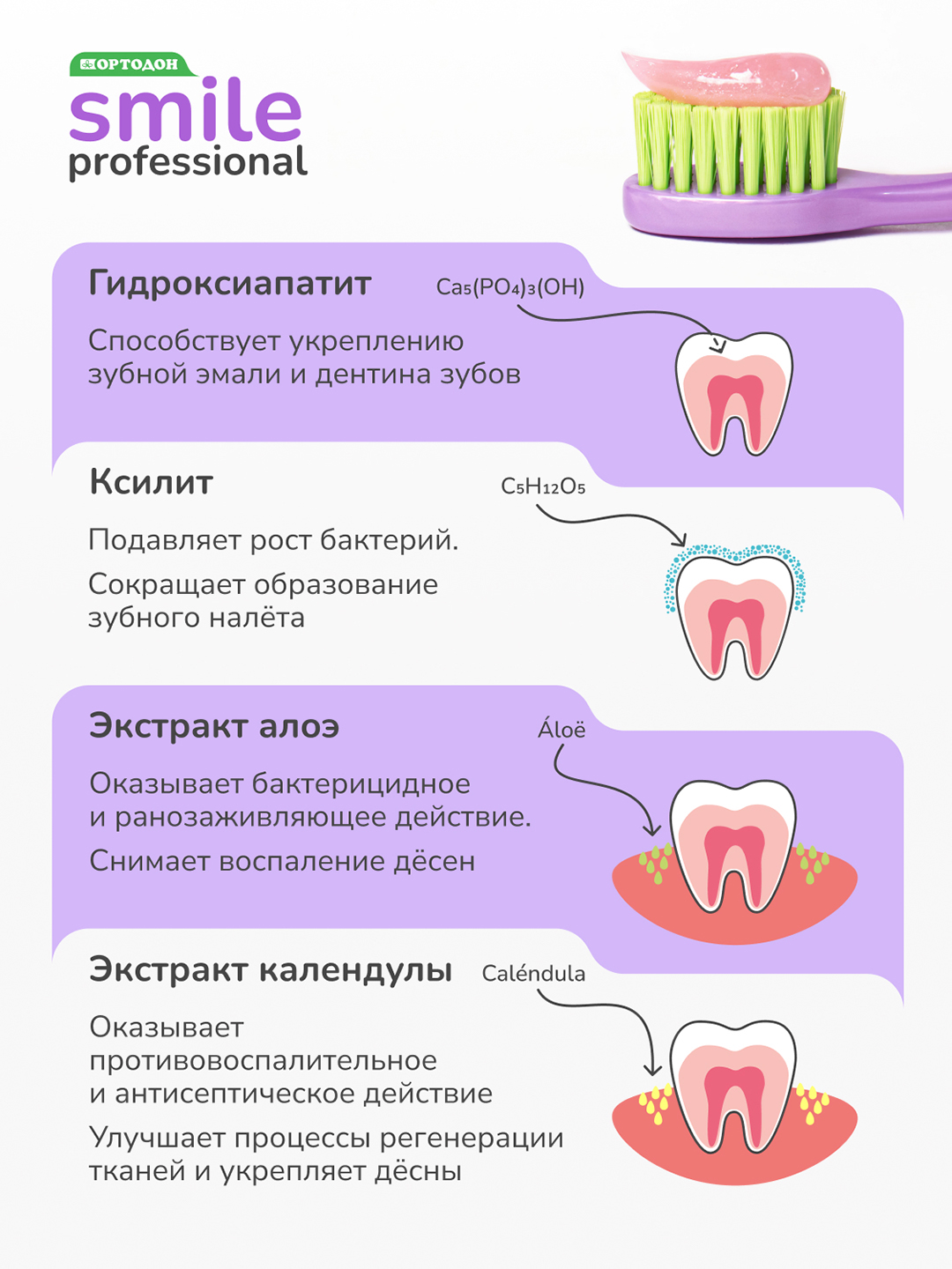 Зубная паста для детей ОРТОДОН Smile professional 6+ со вкусом Бабл-гам 50мл 